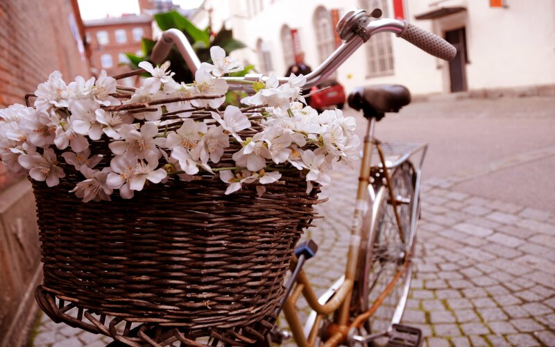 Bicycle with Flowers — Brown