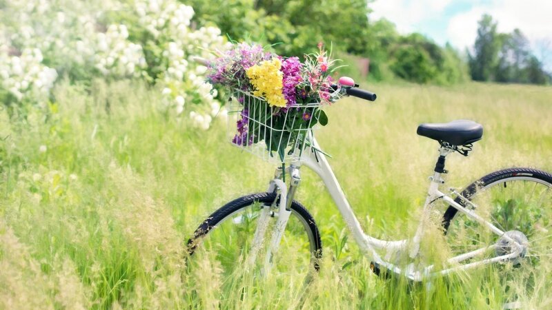 Bicycle with Flowers — Green, Serene, Afternoon