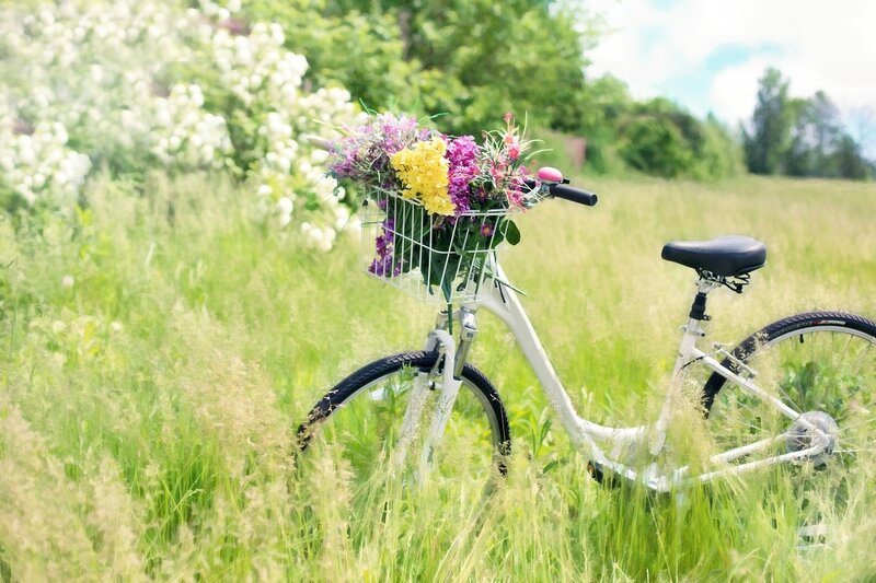 Bicycle with Flowers — Green, Serene, Summer