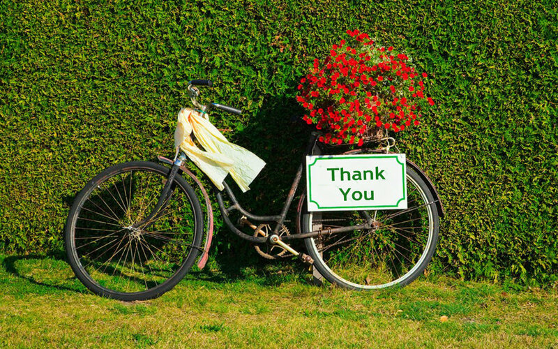 Bicycle with Flowers — Green, Serene