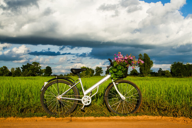 Bicycle with Flowers — Green