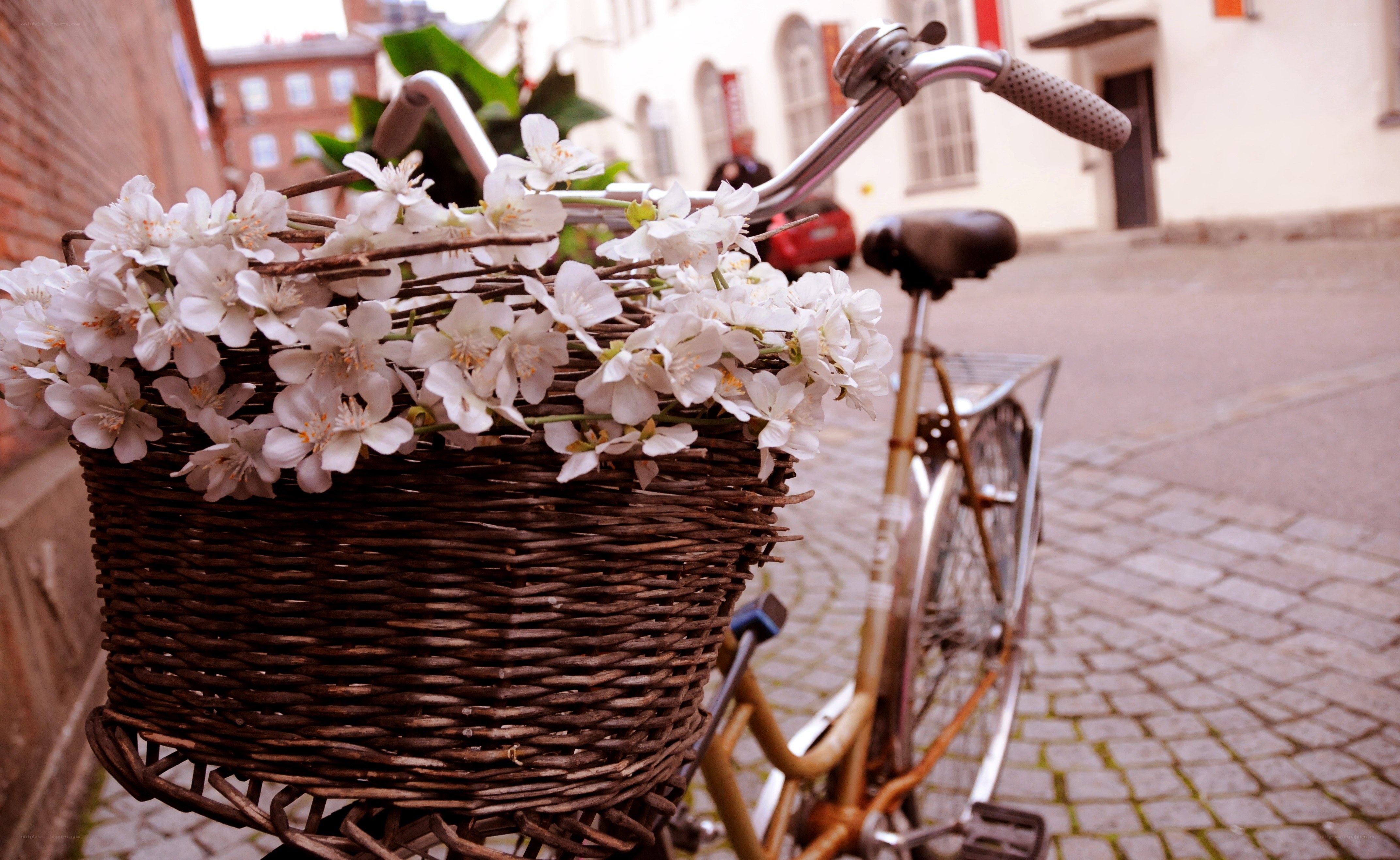 Bicycle with flowers in basket