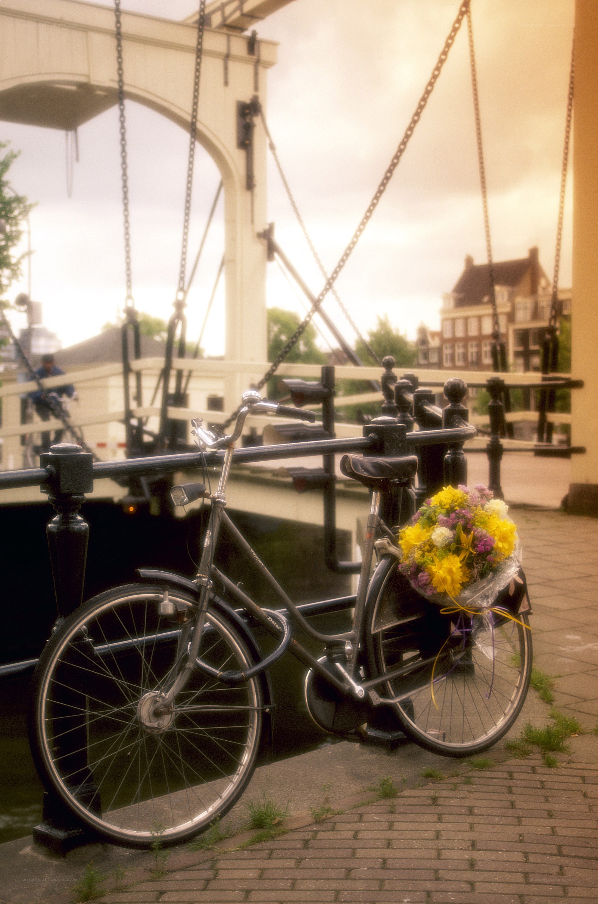 Bicycle with flowers on a bridge