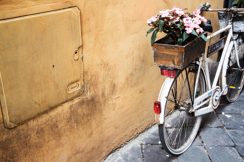 Bicycle with flowers on a street