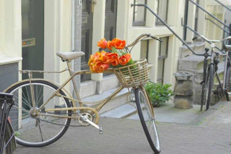 Bicycle with Flowers — Orange