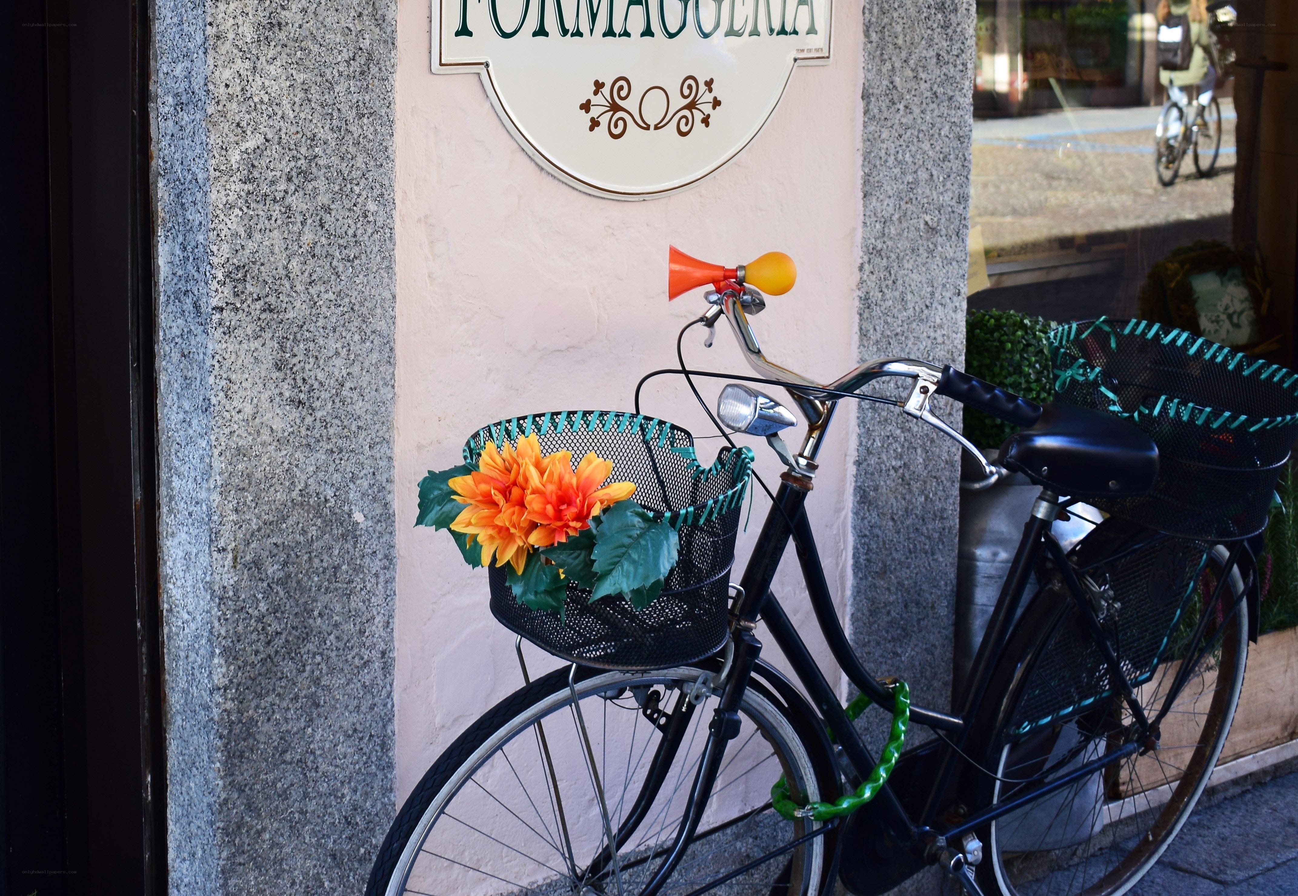 Bicycle with flowers outside shop