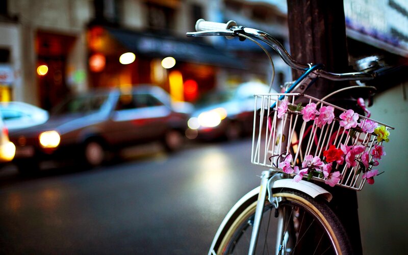 Bicycle with Flowers — Pink, Calm, Night