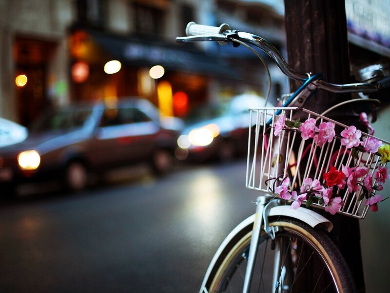 Bicycle with Flowers — Pink, Calm