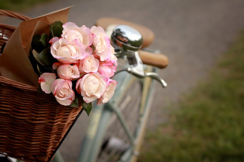 Bicycle with Flowers — Pink, Serene
