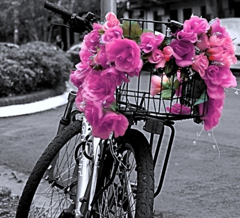 Bicycle with Flowers — Pink