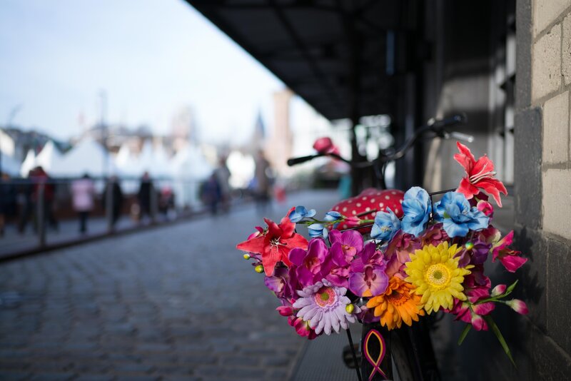 Bicycle with Flowers — Red, Calm