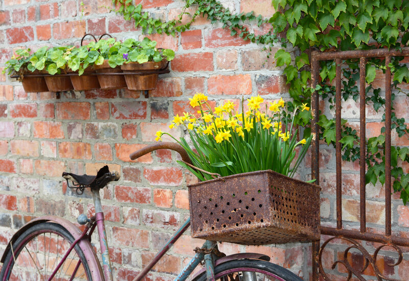 Bicycle with Flowers — Red, Serene, Spring