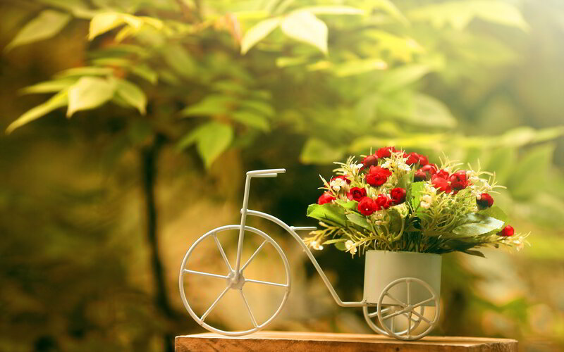 Bicycle with Flowers — Red, Serene
