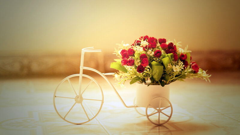 Bicycle with Flowers — White