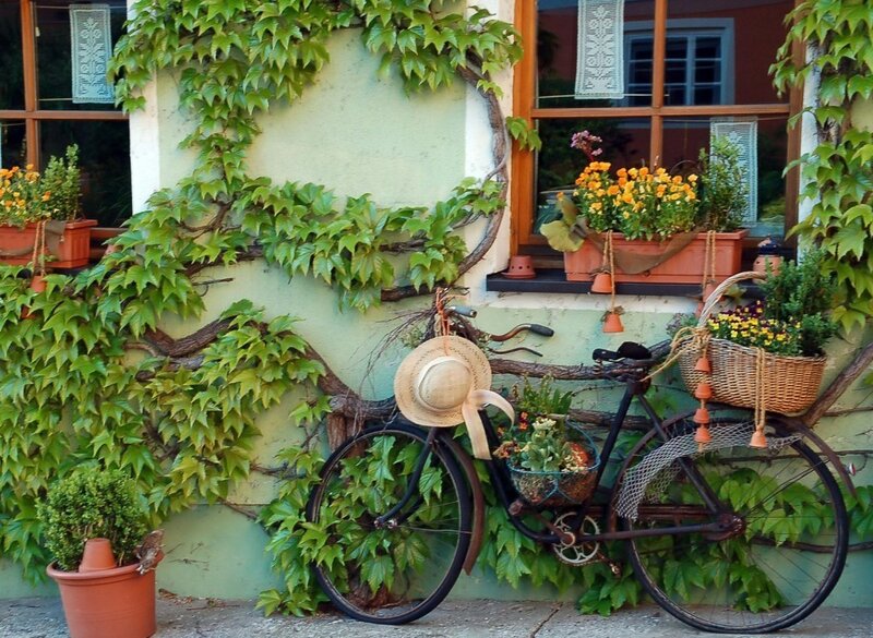 Bicycle with hat and plants