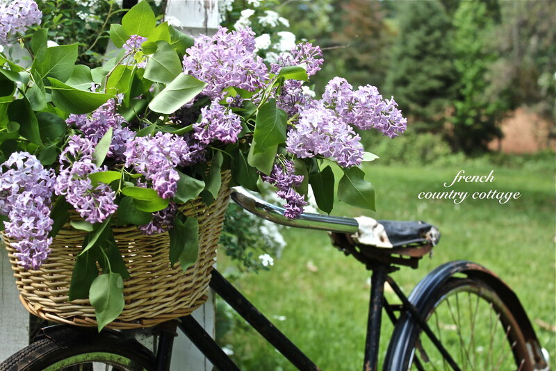 Bicycle with Lilac Basket