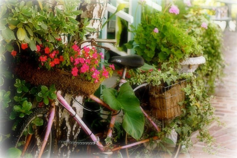 Bicycle with Planters