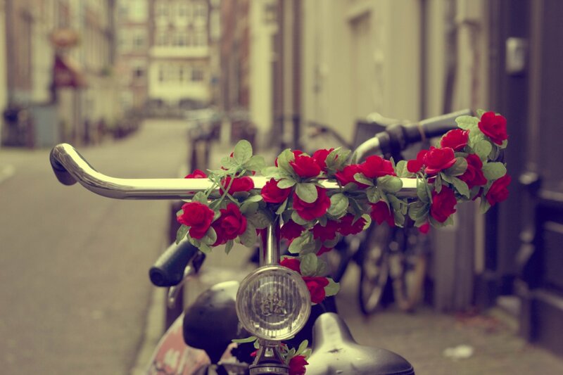 Bicycle with Red Flowers