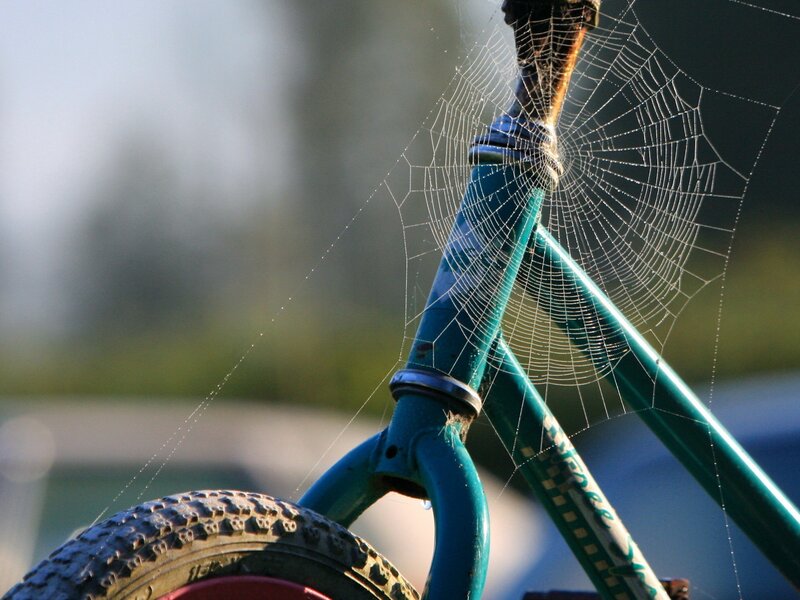 Bicycle with spiderweb