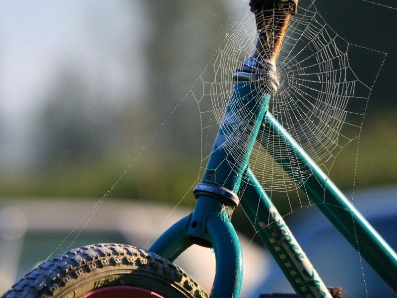 Bicycle with Spiderweb — Green