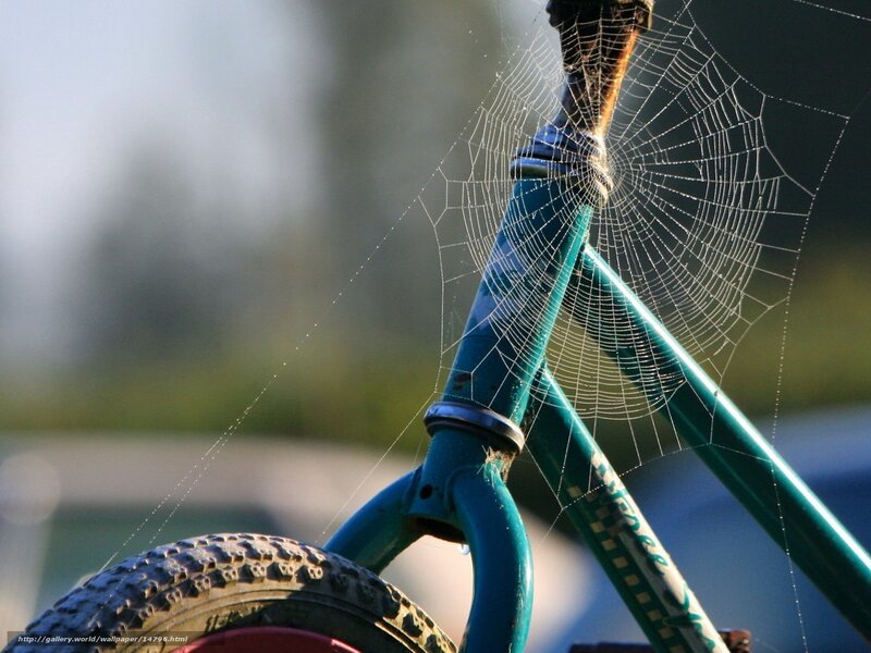 Bicycle with spiderweb