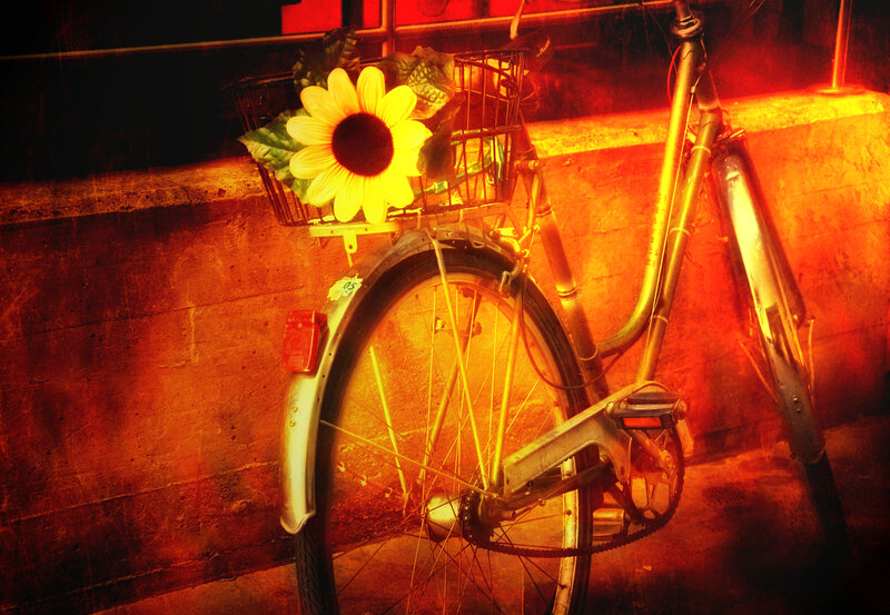 Bicycle with Sunflower