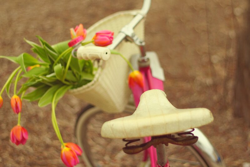 Bicycle with Tulips
