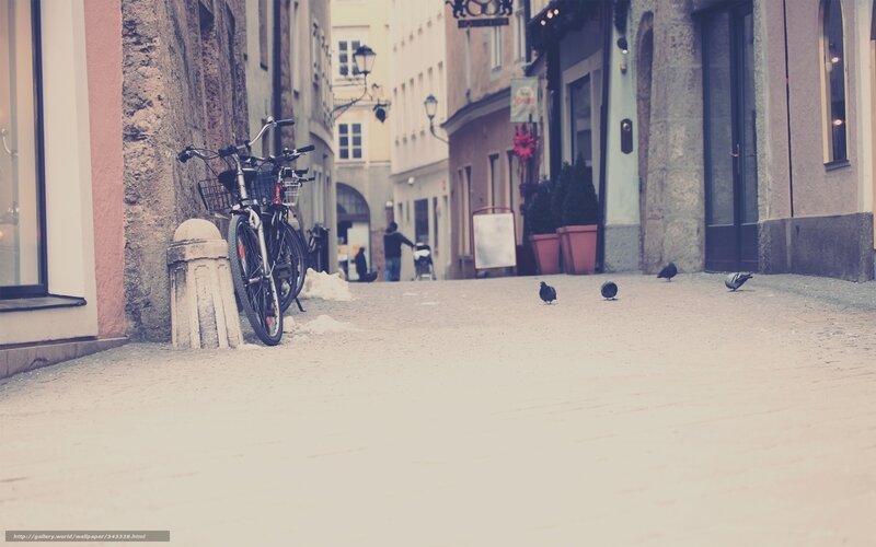 Bicycles and Pigeons