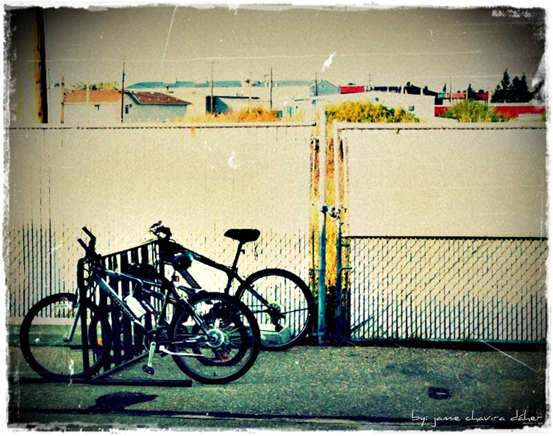 Bicycles by a fence