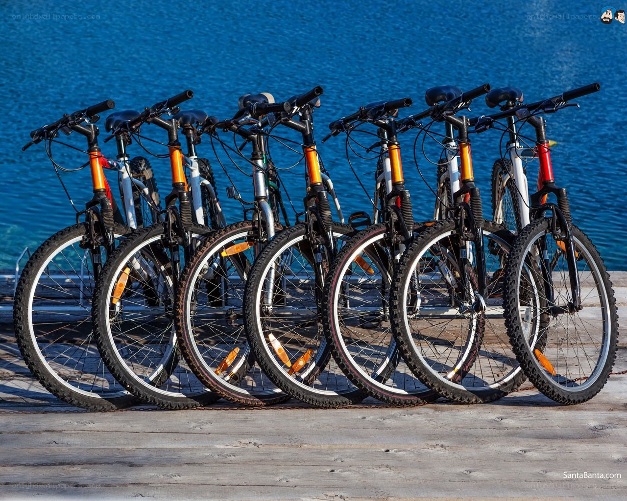 Bicycles by the water