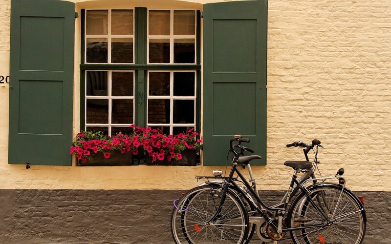 Bicycles by Window — Green