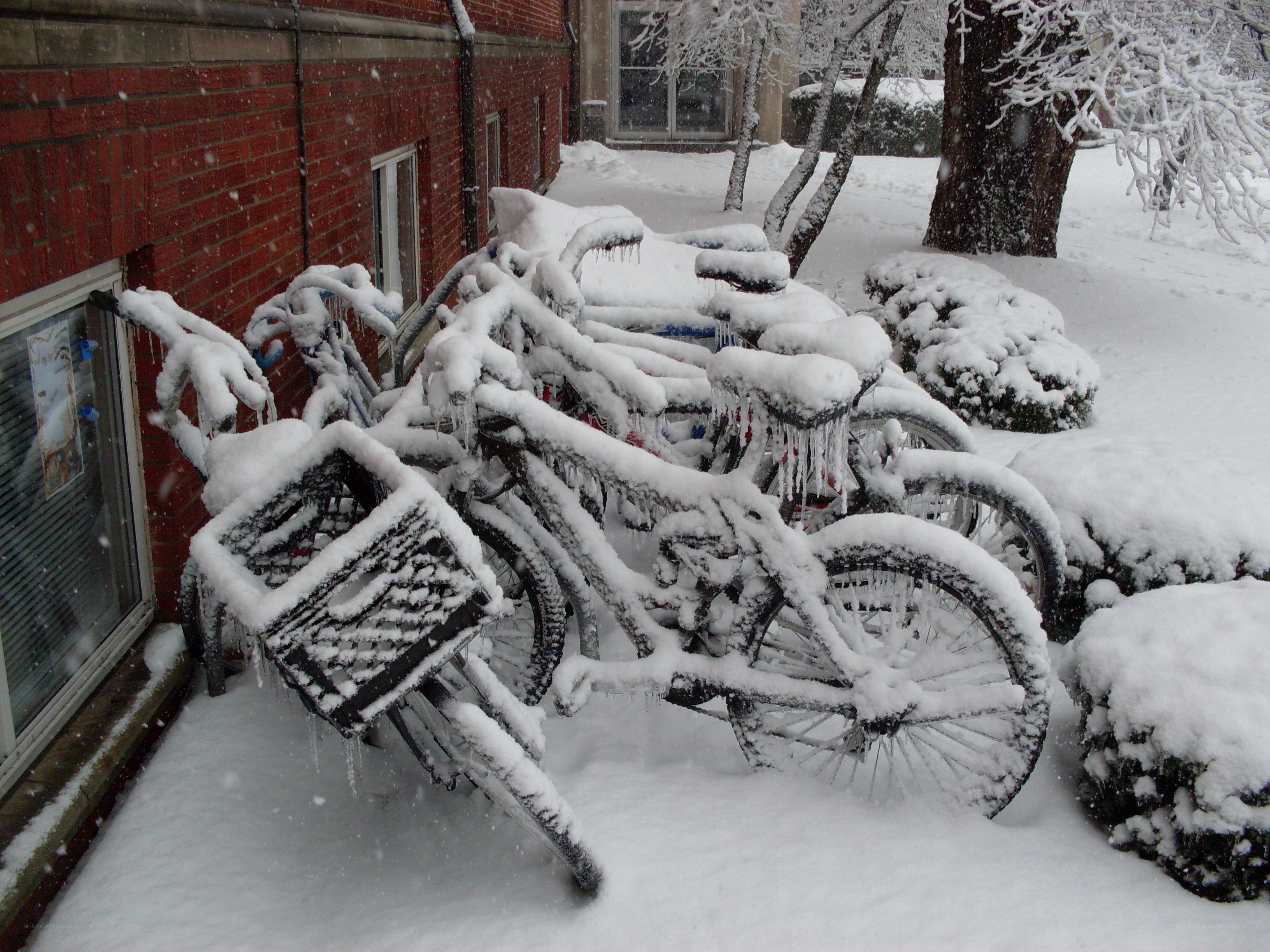 Bicycles covered in snow