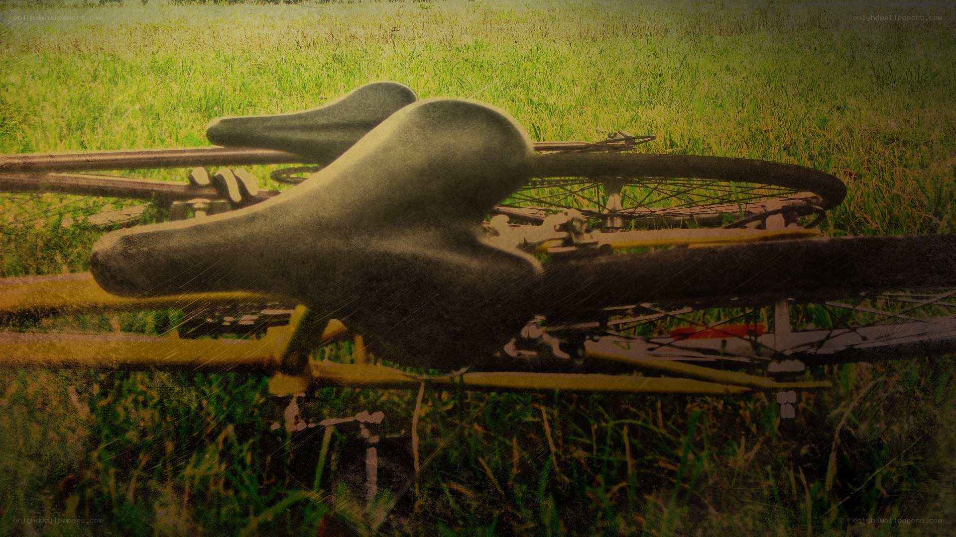 bicycles in a grassy field