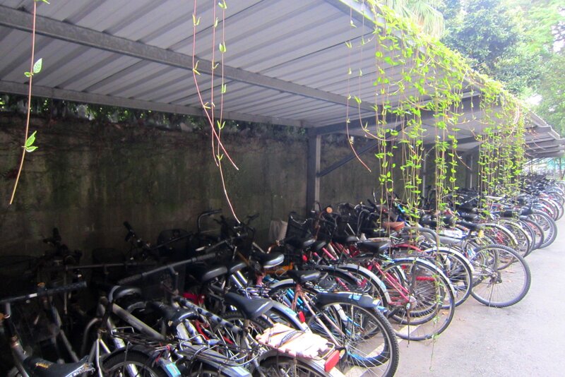 Bicycles in a Shelter