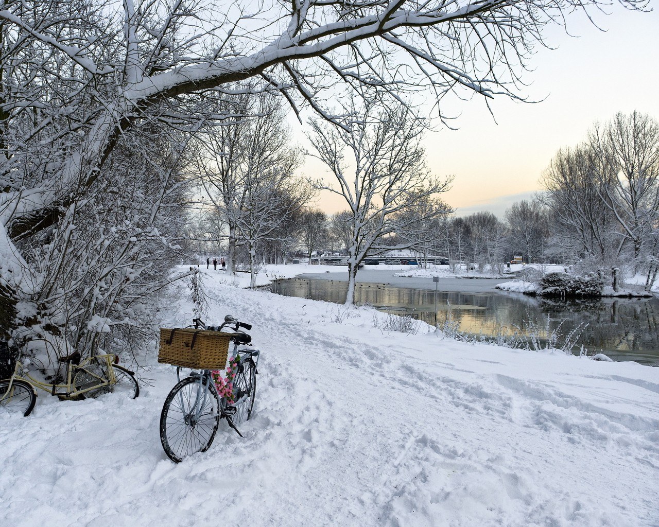 Bicycles in a snowy park