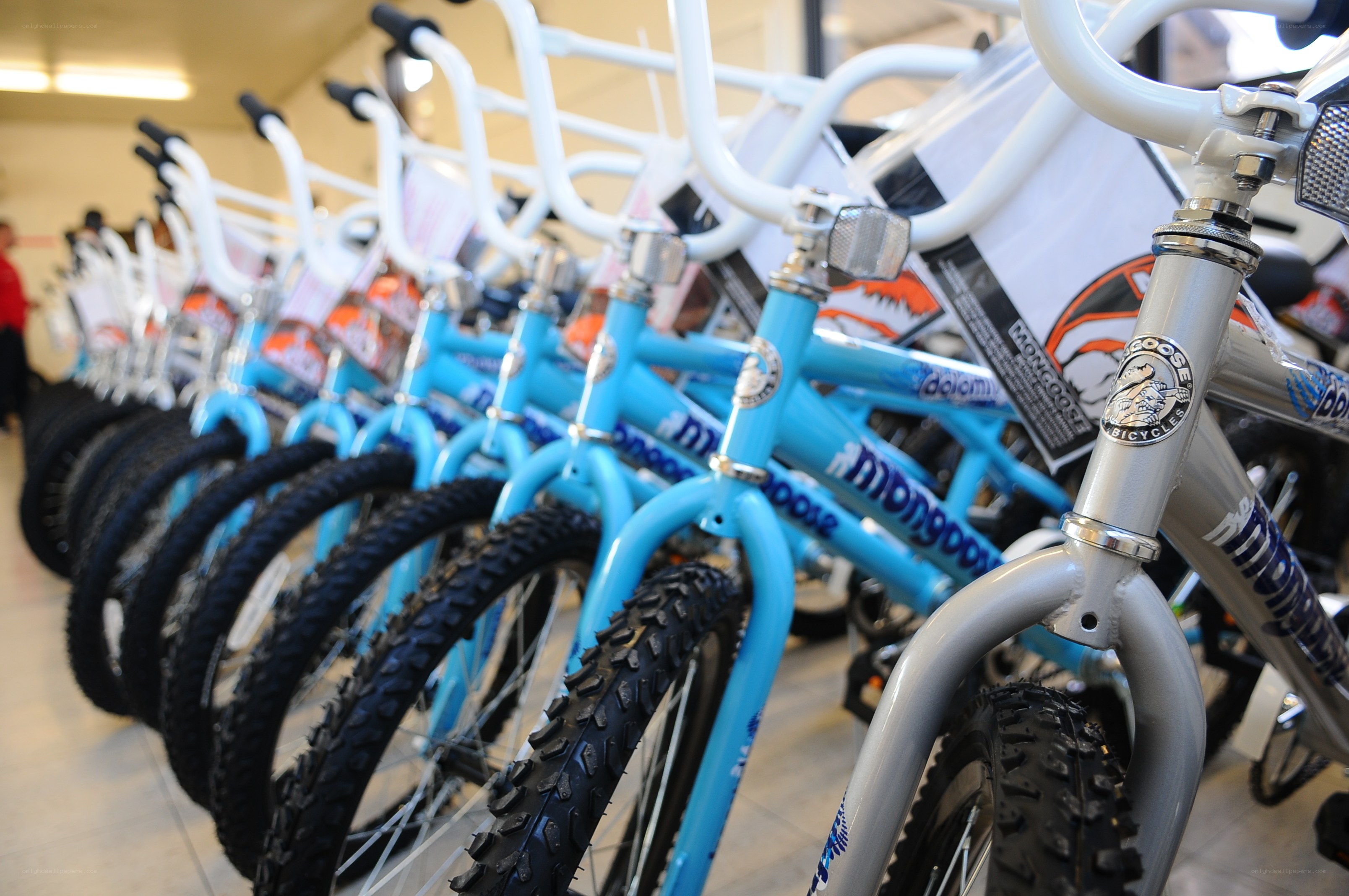 Bicycles in a store