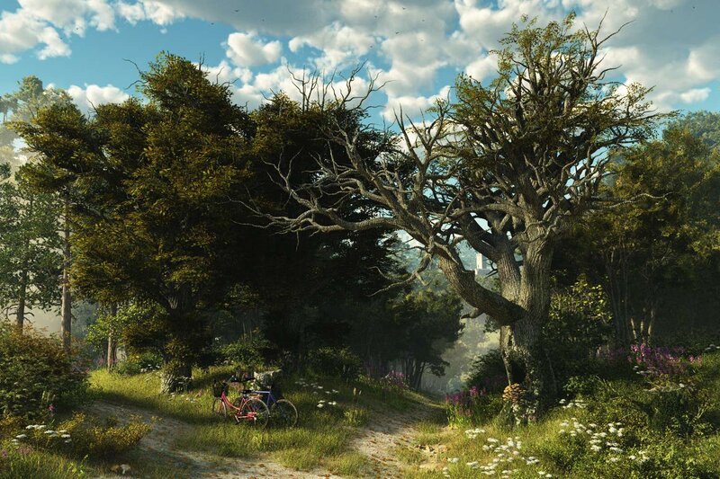 Bicycles in Forest