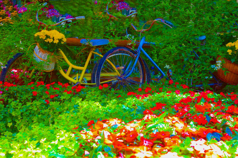 Bicycles in Garden
