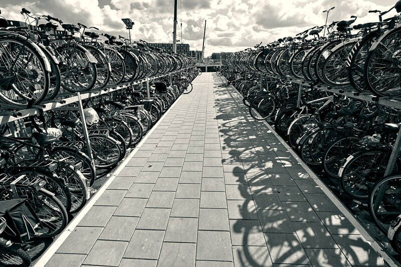 Bicycles in Racks — Black