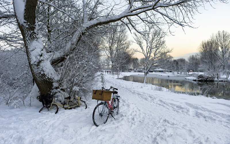 Bicycles in Snow