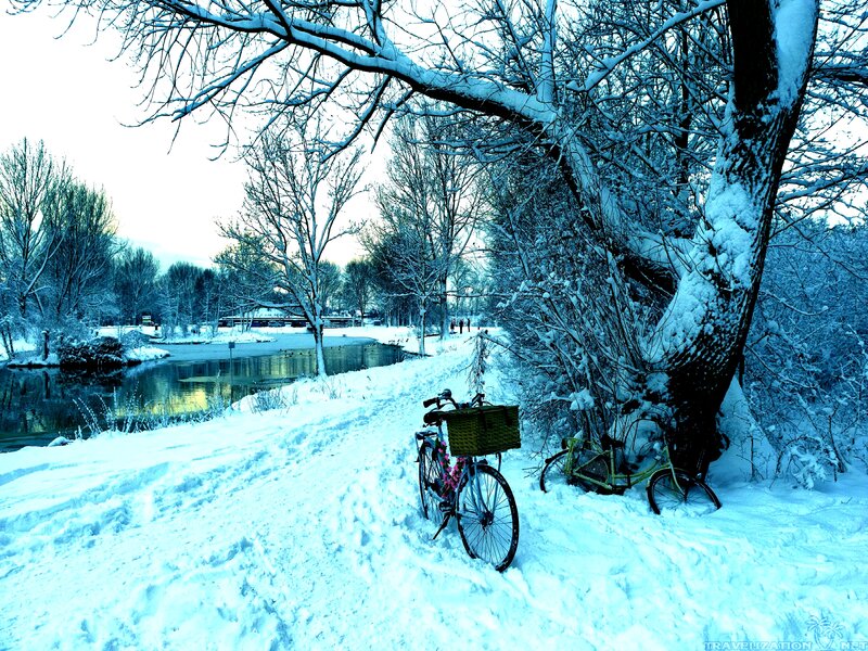 Bicycles in Snow — White