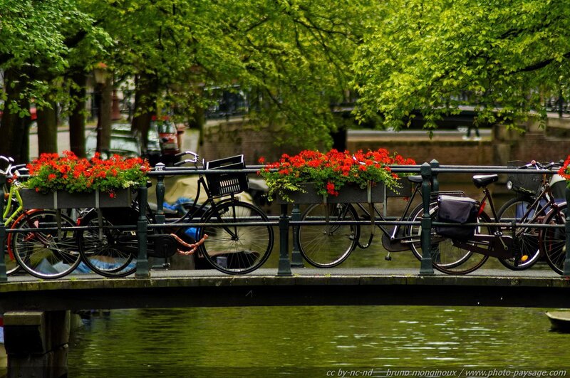Bicycles on a Bridge — Green