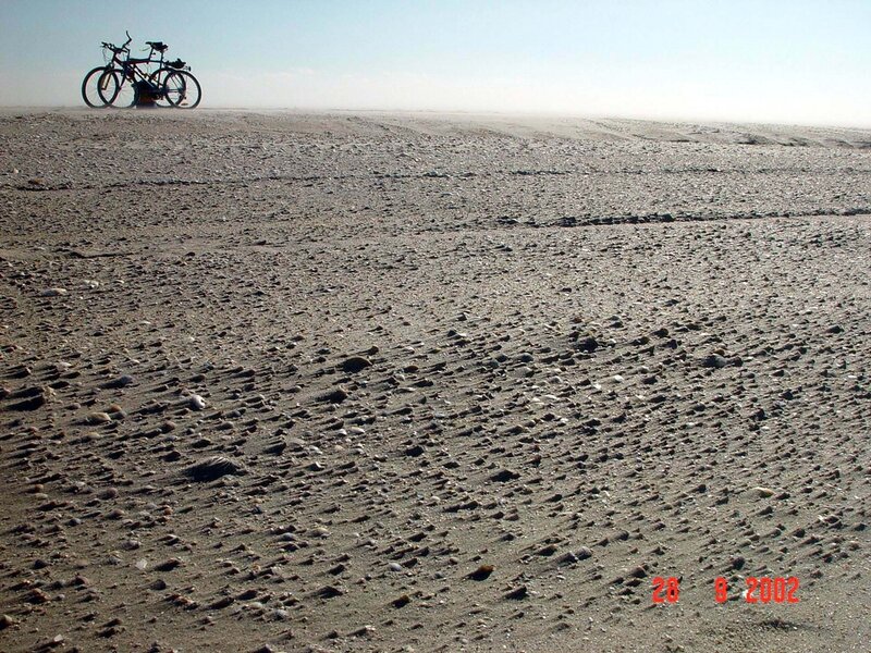 bicycles on a sandy beach