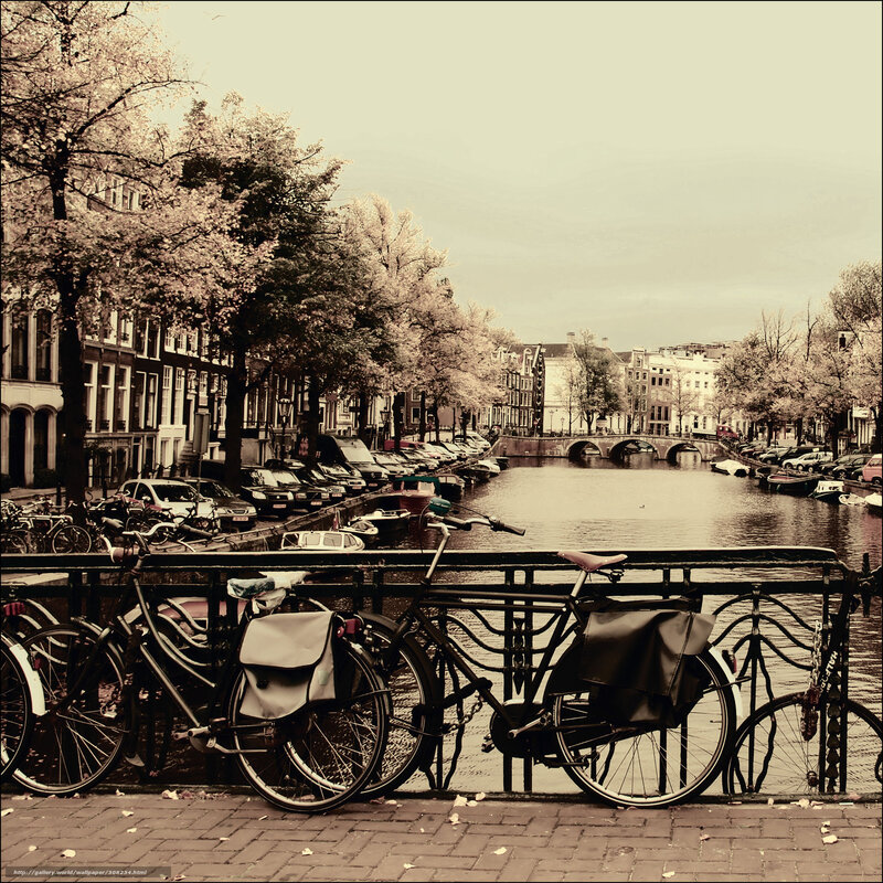 Bicycles on Canal Bridge — Sepia