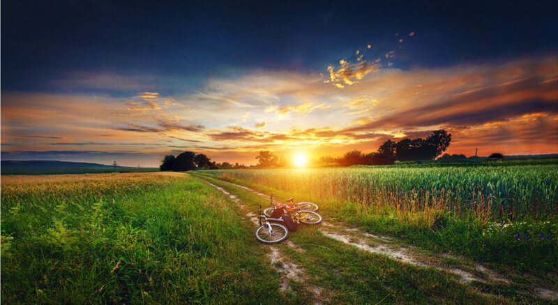 Bicycles on Dirt Path