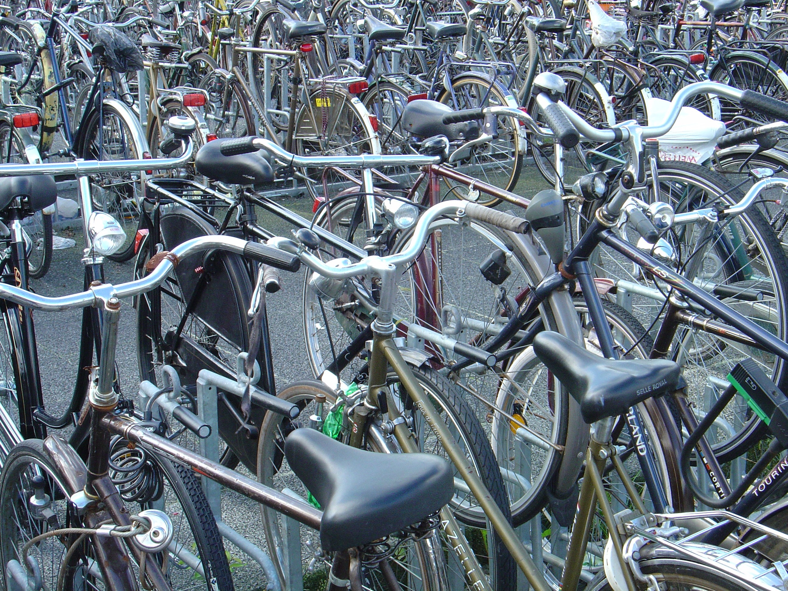 Bicycles parked in a lot