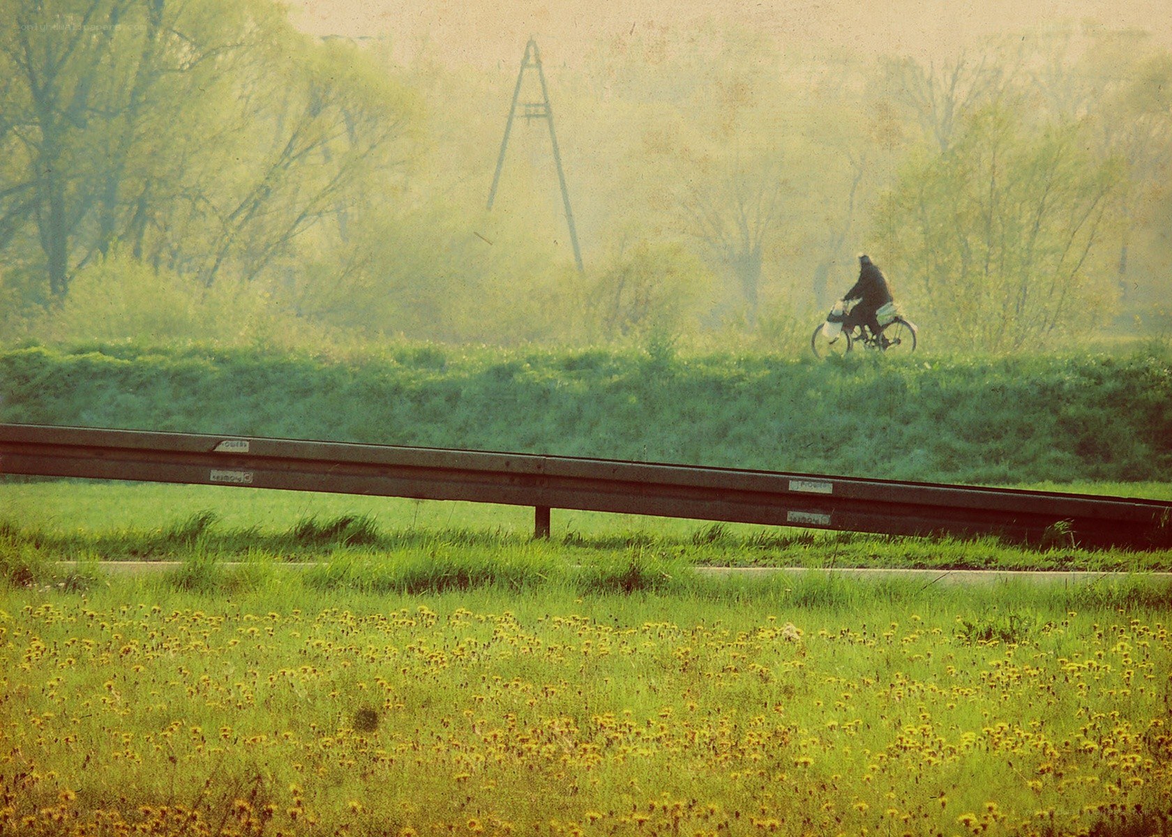 Bicyclist on a misty road