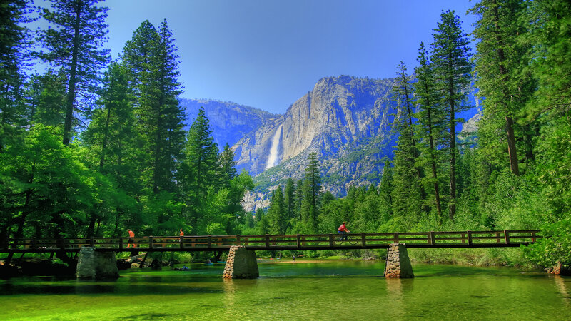Bicyclist on Wooden Bridge