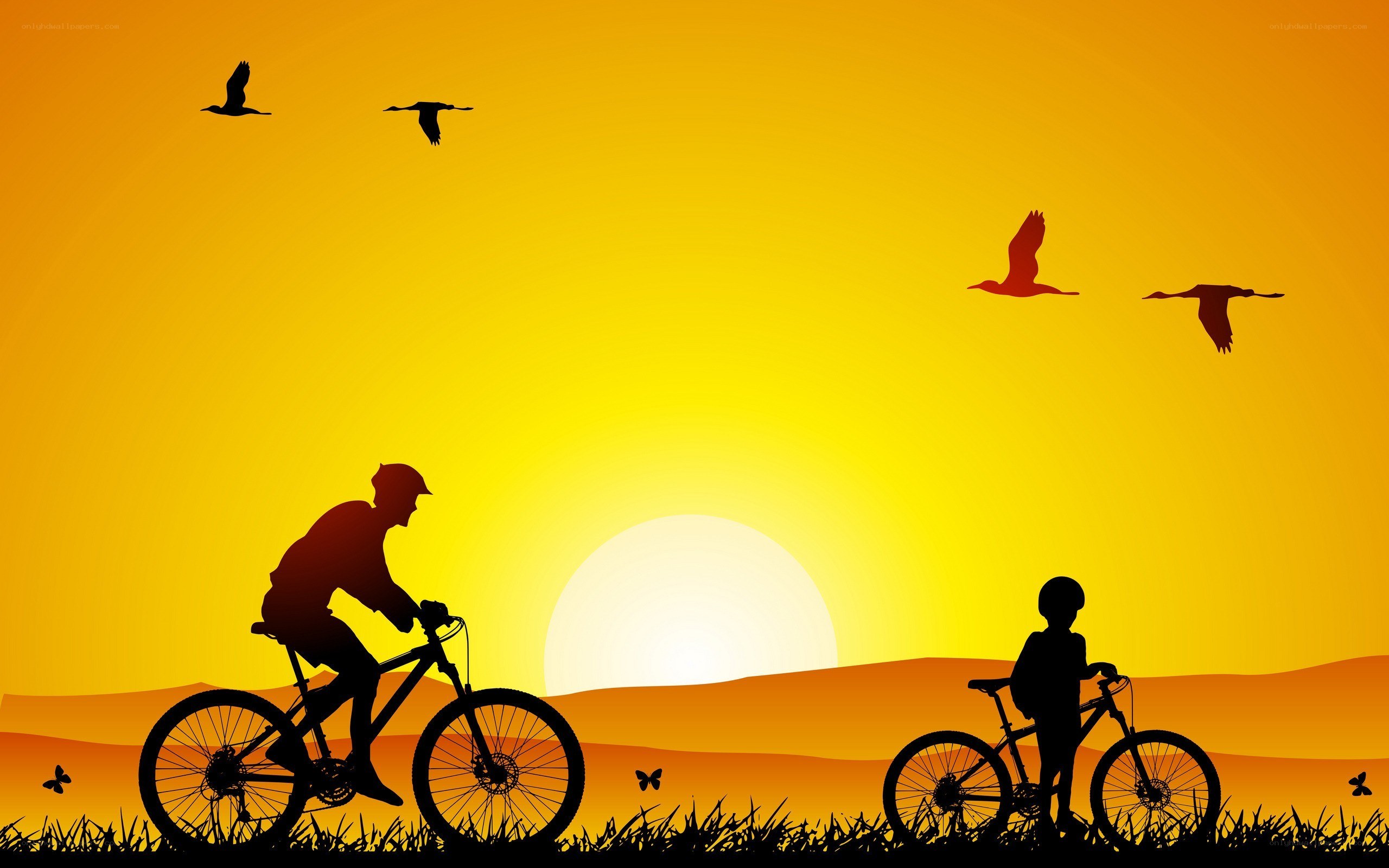 Bicyclists at sunset