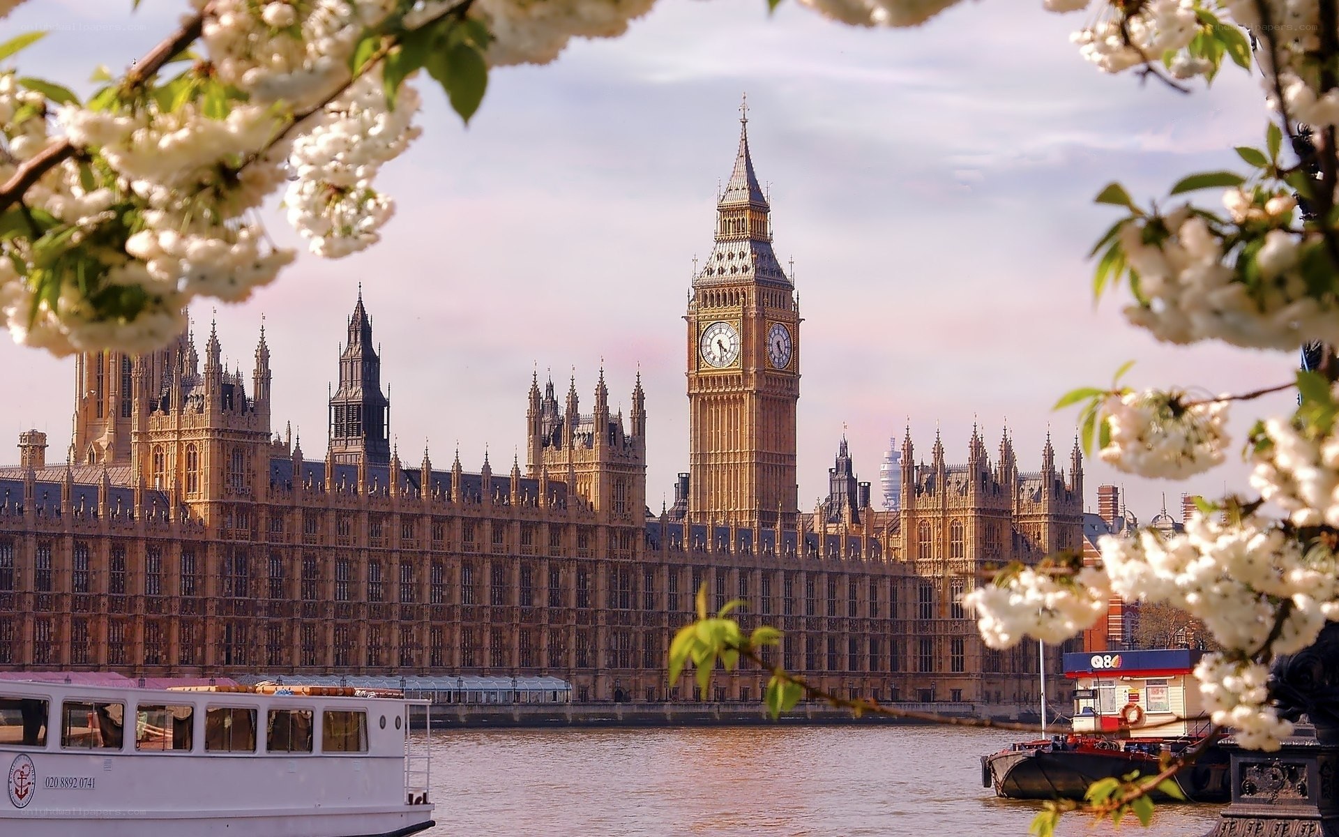 Big Ben and Parliament in spring